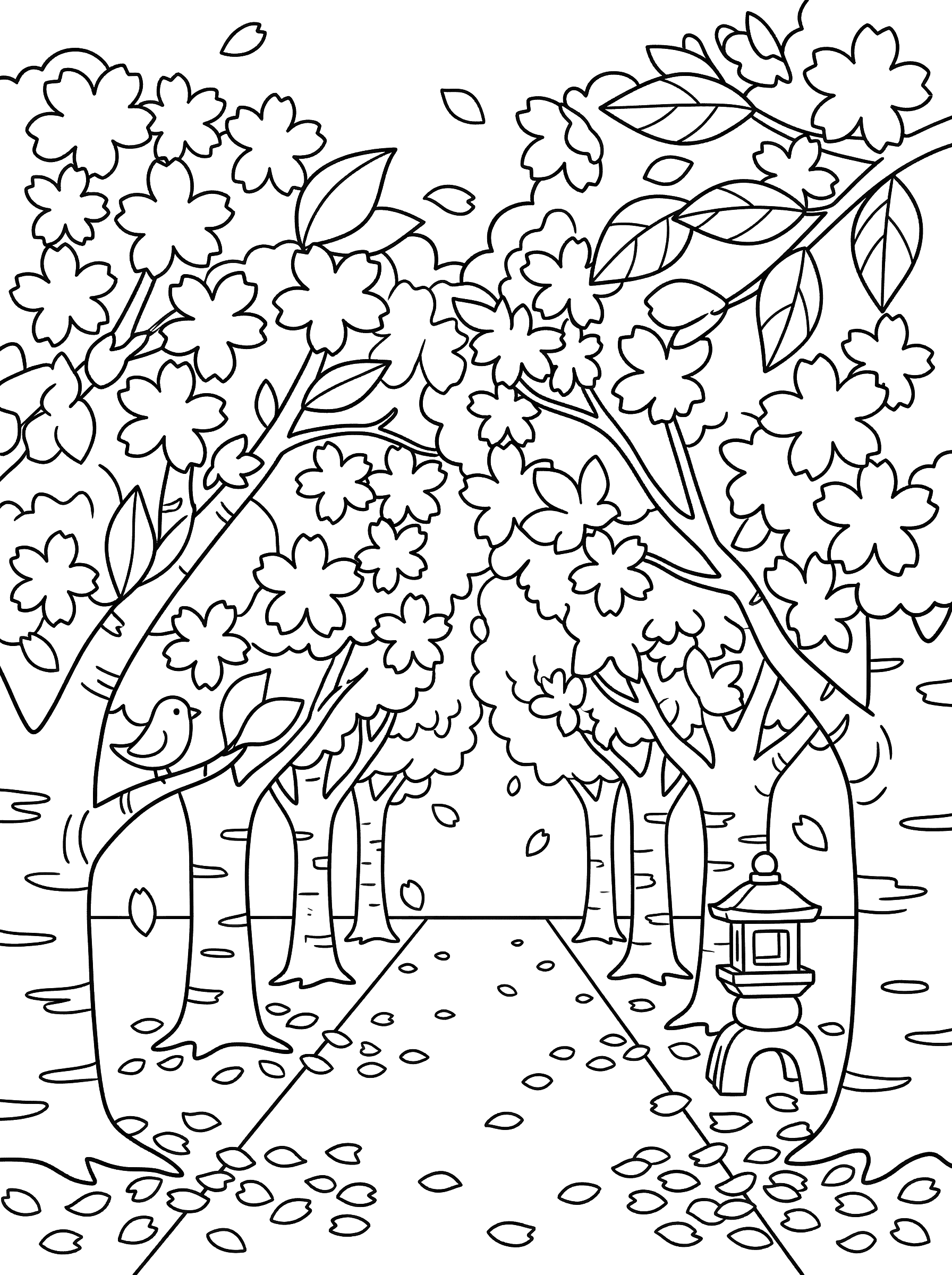 Cherry Blossom Path with Stone Lantern Coloring Page