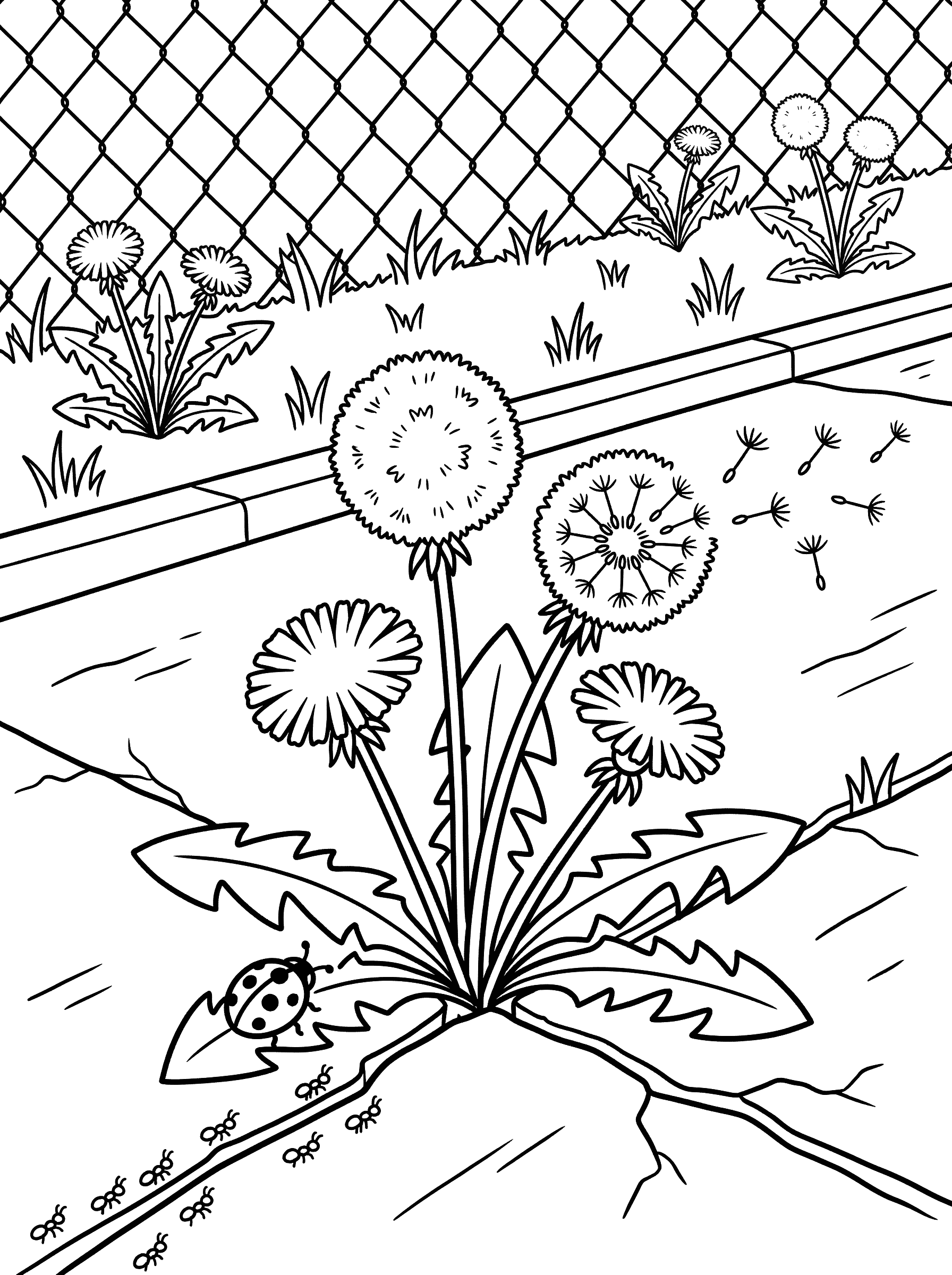 Dandelion Patch With Ladybug and Ant Trail Coloring Page