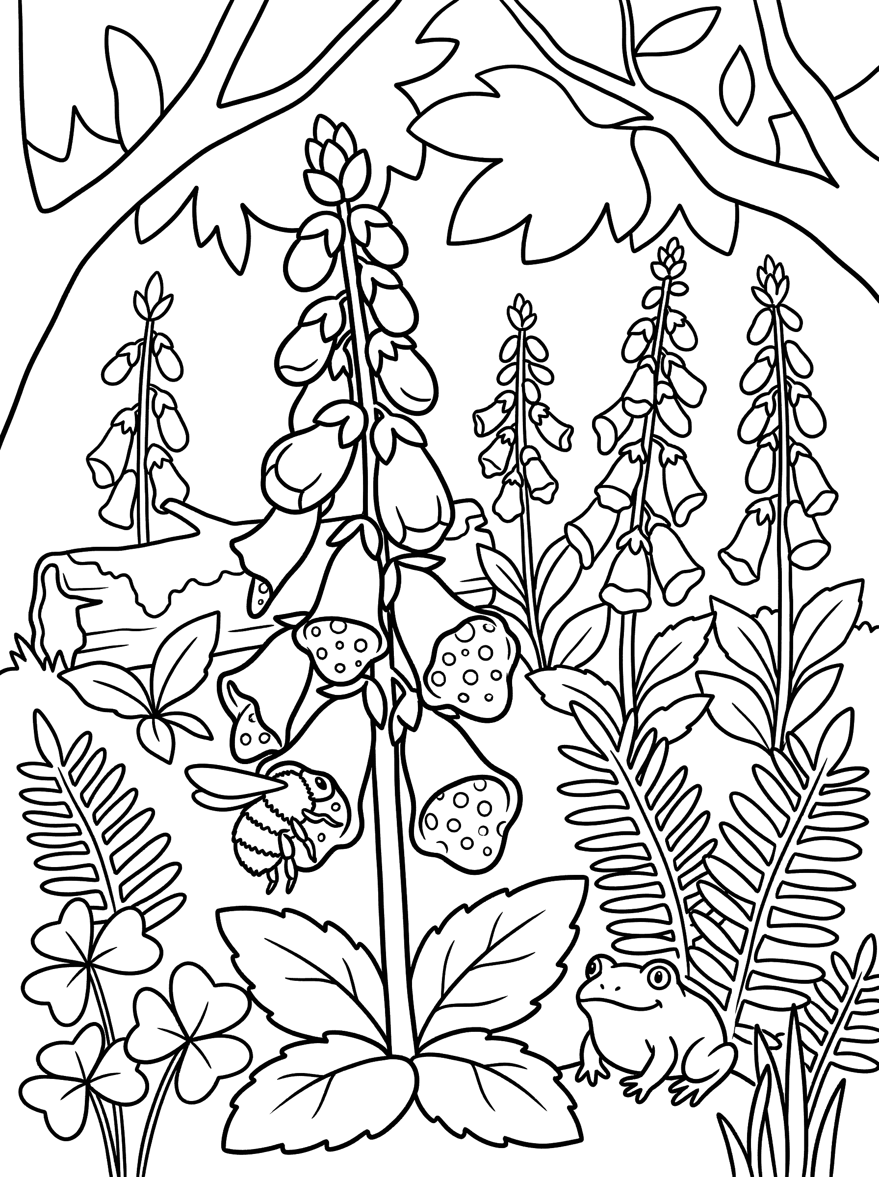 Foxglove Flowers in Forest Clearing Coloring Page