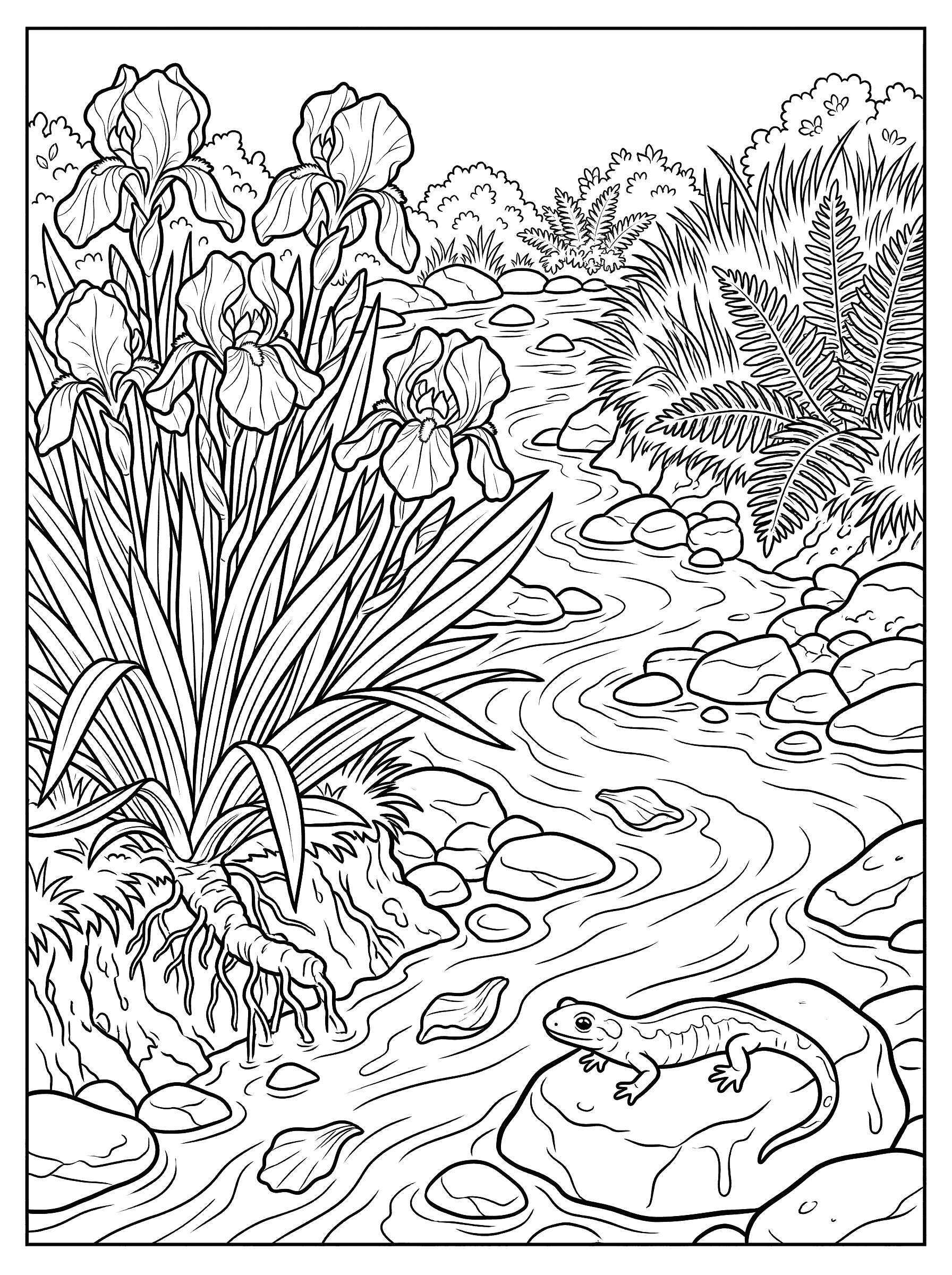 Iris by the Stream Coloring Page