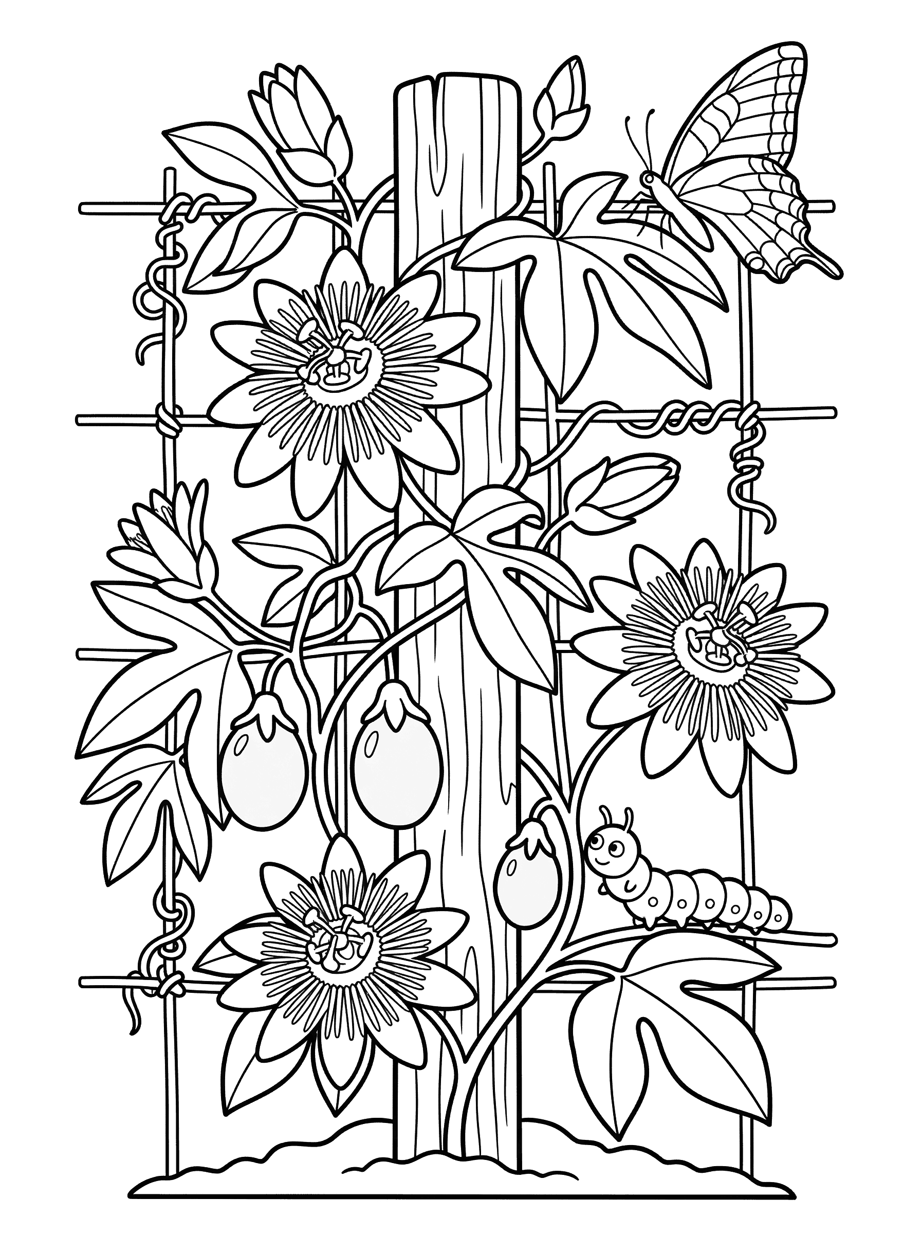 Passion Flower Vine with Butterfly and Caterpillar Coloring Page